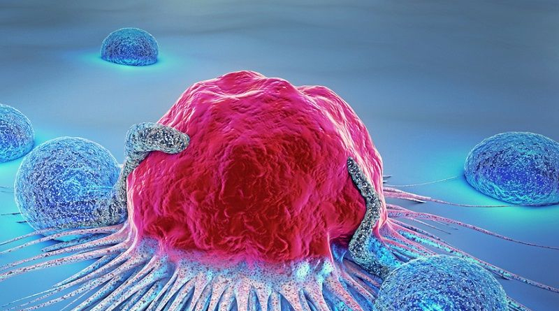 inmunoterapia contra el cáncer