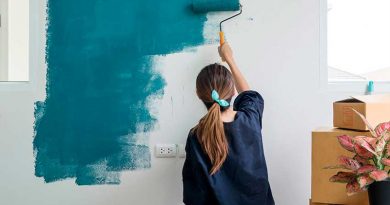 cómo pintar mi casa
